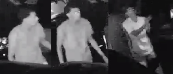 Two Suspects Sought for Burglarizing Vehicle on Willow Brae