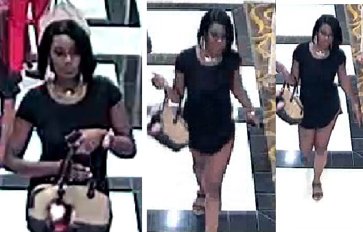 Female Suspect Wanted after Stealing from Victim's Hotel Room