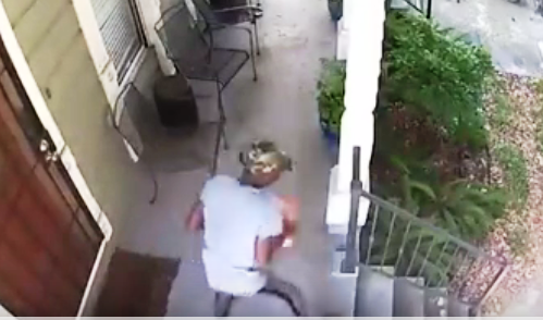 Package Thief Caught on Video