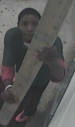 Suspect Wanted for Breaking Surveillance Camera Outside of Restaurant