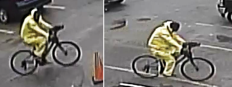 Car Burglar Caught on Video