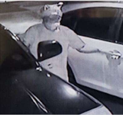 Vehicle Burglary Suspect Wanted in Second District