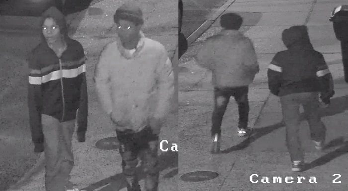 Suspects Sought in Eighth District Auto Burglary