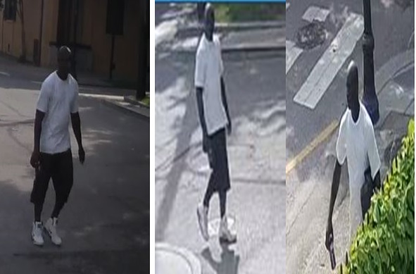 NOPD Seeking Suspect in Theft from Exterior of Auto on Bourbon Street