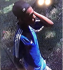 NOPD Seeking Suspect in Theft on Hyman Place