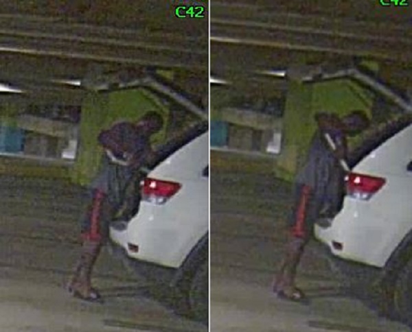 Suspect Sought in Auto Burglary on Canal Street