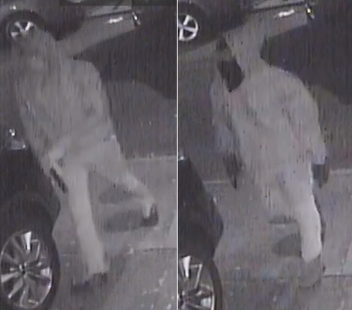 Suspects Sought in Eighth District Vehicle Burglary Incident