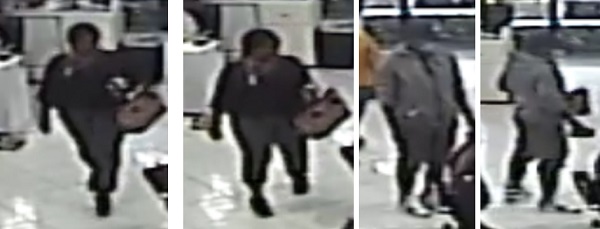 Suspects Sought in Second District Theft