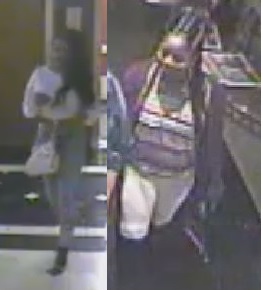 Suspects Sought in Theft on Orleans Avenue