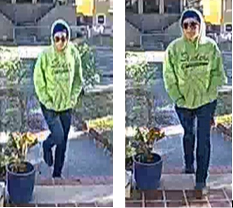 Suspect Sought in Second District Package Theft