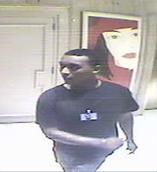 Suspect Sought in Eighth District Theft