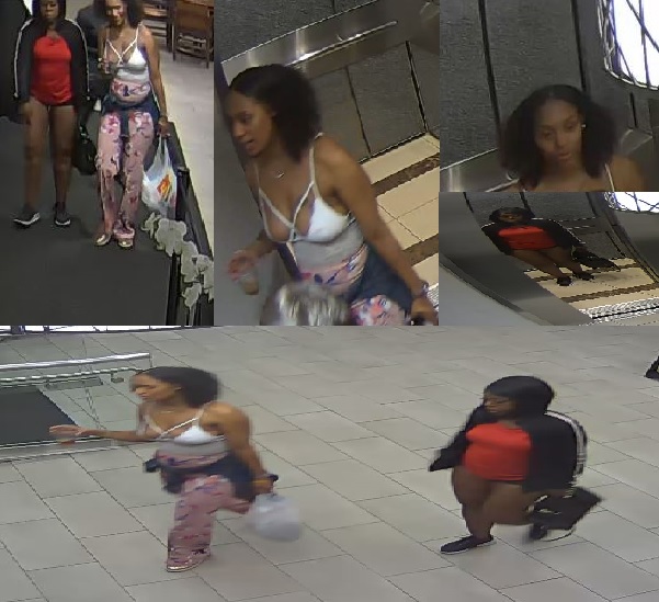 Suspects Wanted for Theft on Poydras Street