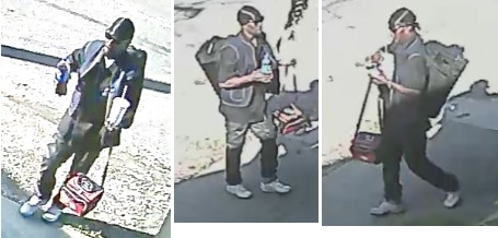 Package Theft Subject Wanted in the Sixth District