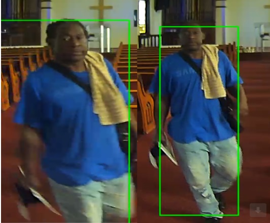 NOPD Seeking Theft Subject in First District 