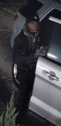 Vehicle Burglary Suspect Wanted in Third District 