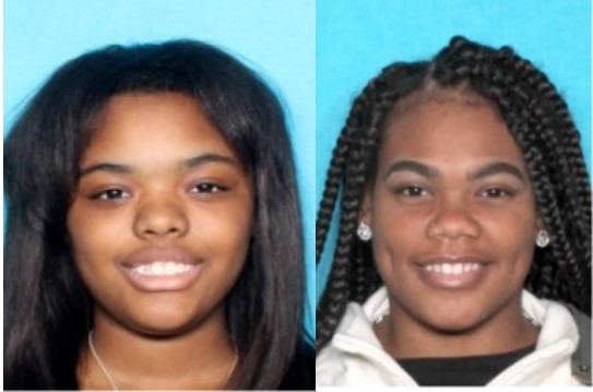 Suspects Wanted for Theft by Embezzlement in Fourth District