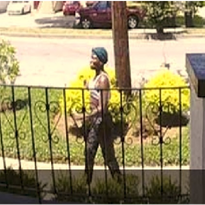 Suspect Wanted for Theft on Ursulines Avenue