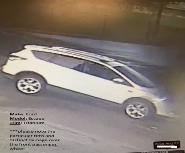 Vehicle of Interest Sought in Homicide on Howard Avenue
